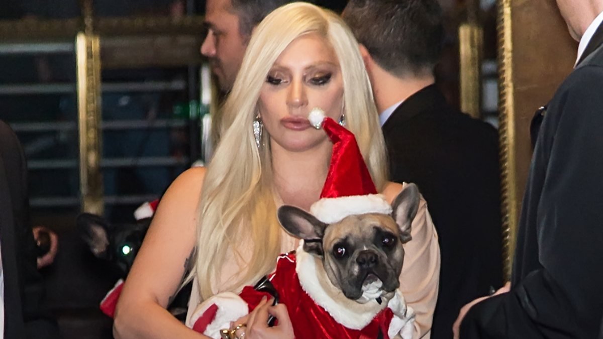 Lady Gaga'nın köpeklerinin çalınmasıyla ilgili 5 kişi gözaltında
