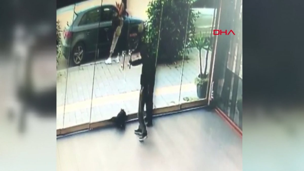 İzmir'de korkunç görüntüler: Şiddet uyguladıkları kediyi kapıya sıkıştırdılar