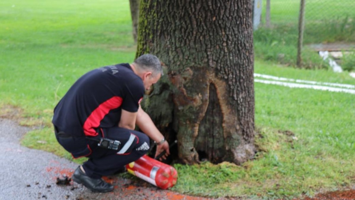 Sakarya'da parkta çıkan yangın büyümeden söndürüldü