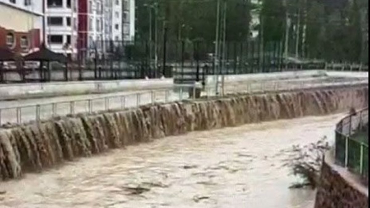 Sivas’ta sağanak yağmur: Balıklar yola savruldu