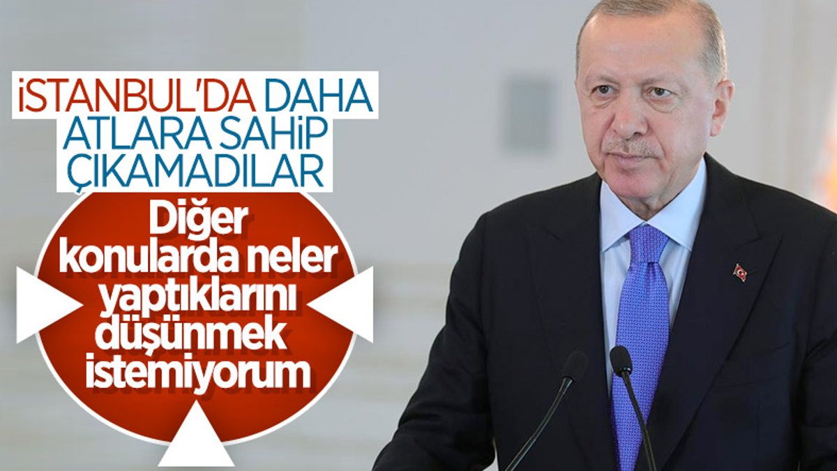 Cumhurbaşkanı Erdoğan, Adalar'daki atların durumuna ilişkin konuştu