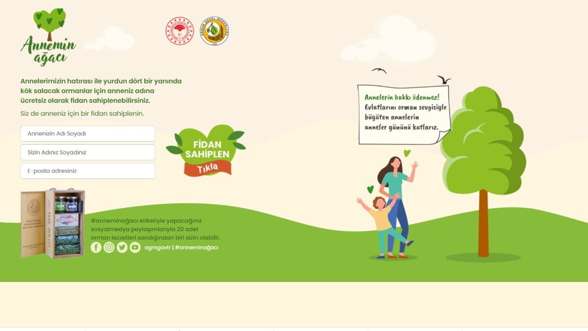 OGM Annemin Ağacı kampanyası: Anneler Günü'ne özel fidan bağışı nasıl yapılır?