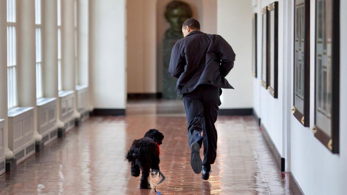 Barack Obama, 12 yıllık köpeğini kaybetti