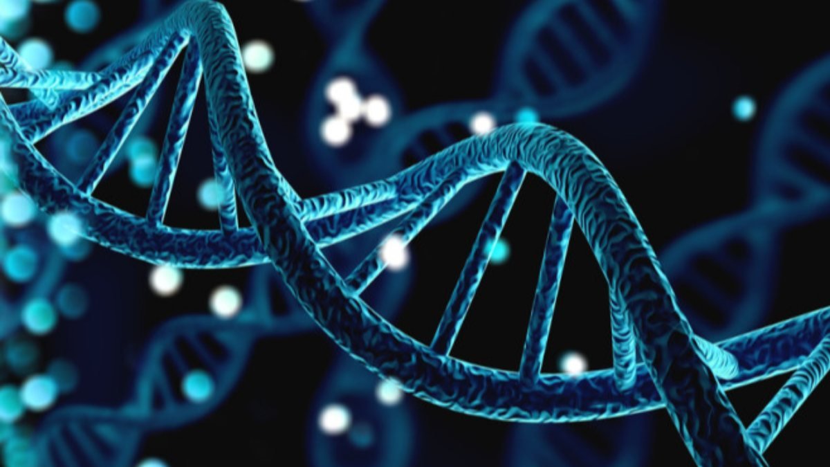 Gen teknolojilerinin 10 şaşırtıcı kullanım şekli
