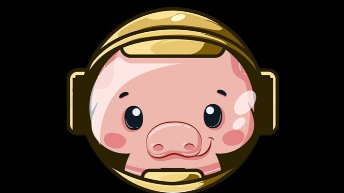 Pig Coin nedir? Pig Coin özellikleri ve fiyatı..
