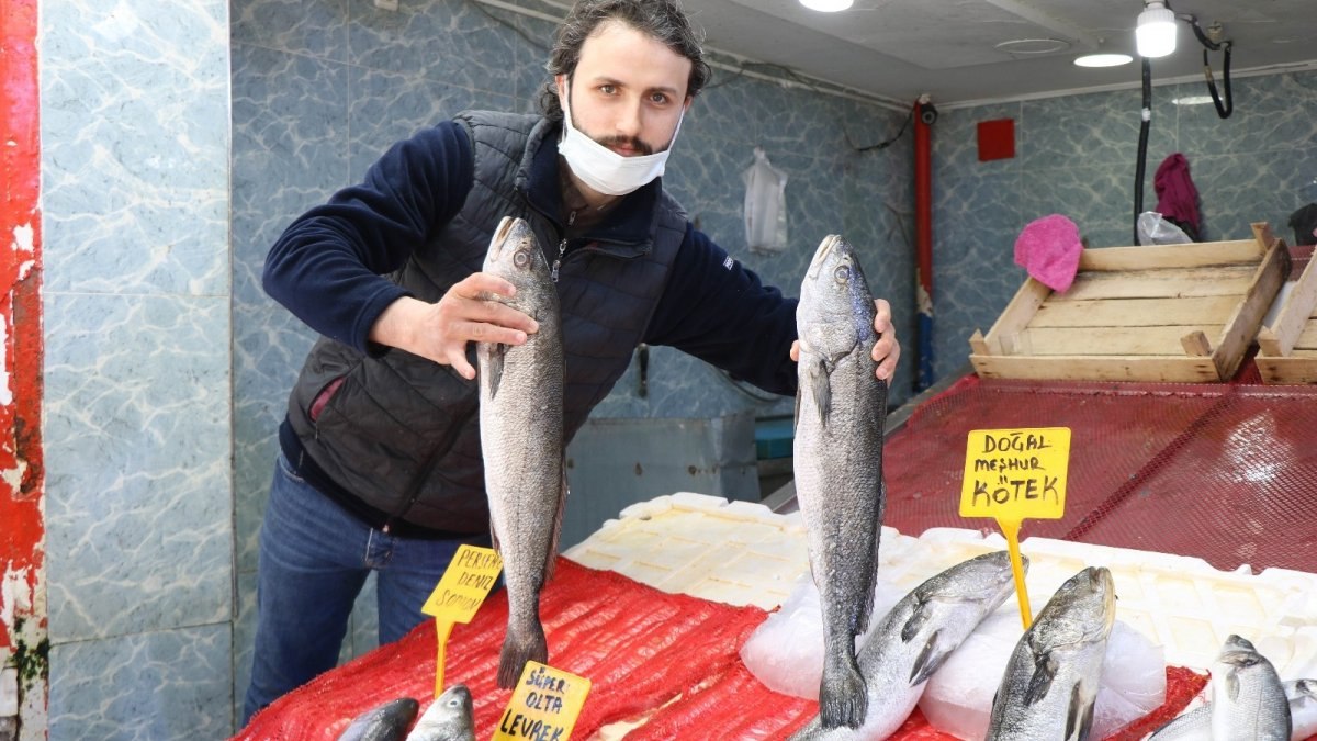 Balık satışları da fiyatlar da düştü