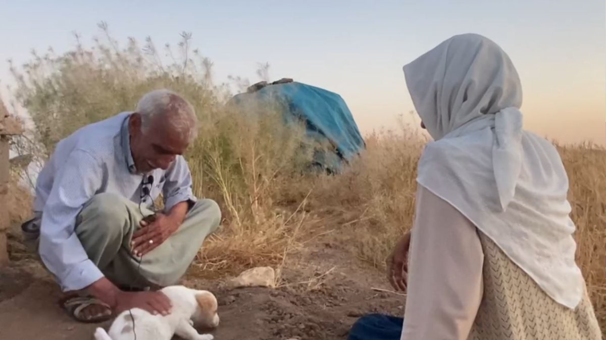 Şanlıurfa'da köpekleri ölen yaşlı çiftin gözyaşları