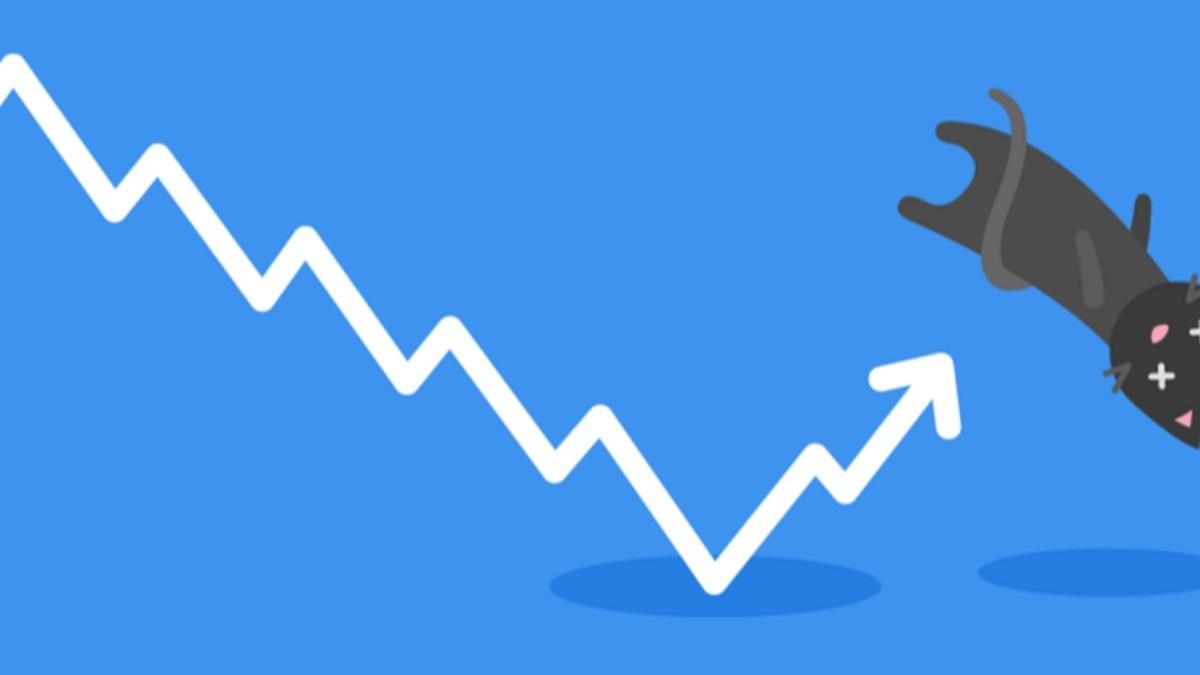 Ölü kedi sıçraması (Dead cat bounce) nedir
