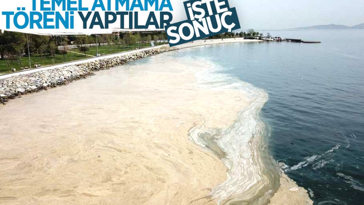 Marmara Denizi'ni deniz salyaları kapladı