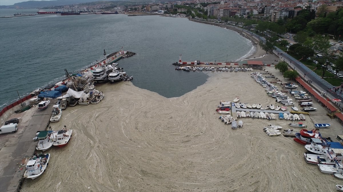 Deniz salyası oluşumunun Marmara Denizi'ne etkileri araştırılıyor