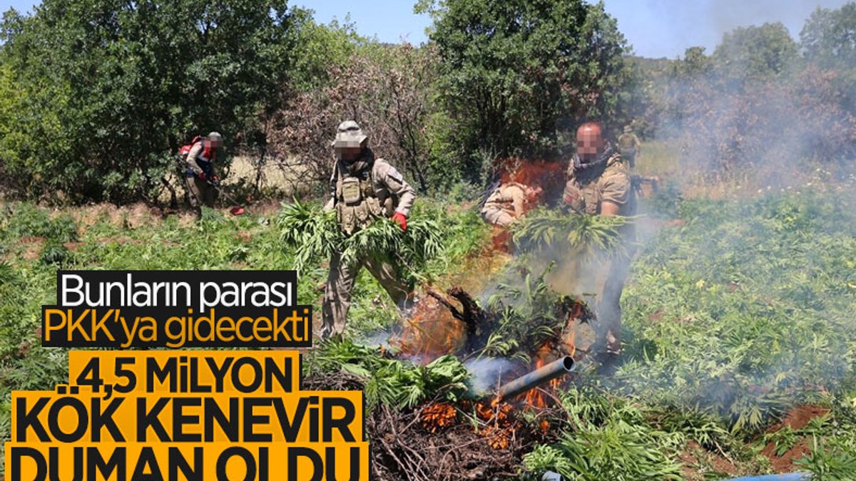Diyarbakır'da 115 ayrı noktaya narko-terör operasyonu