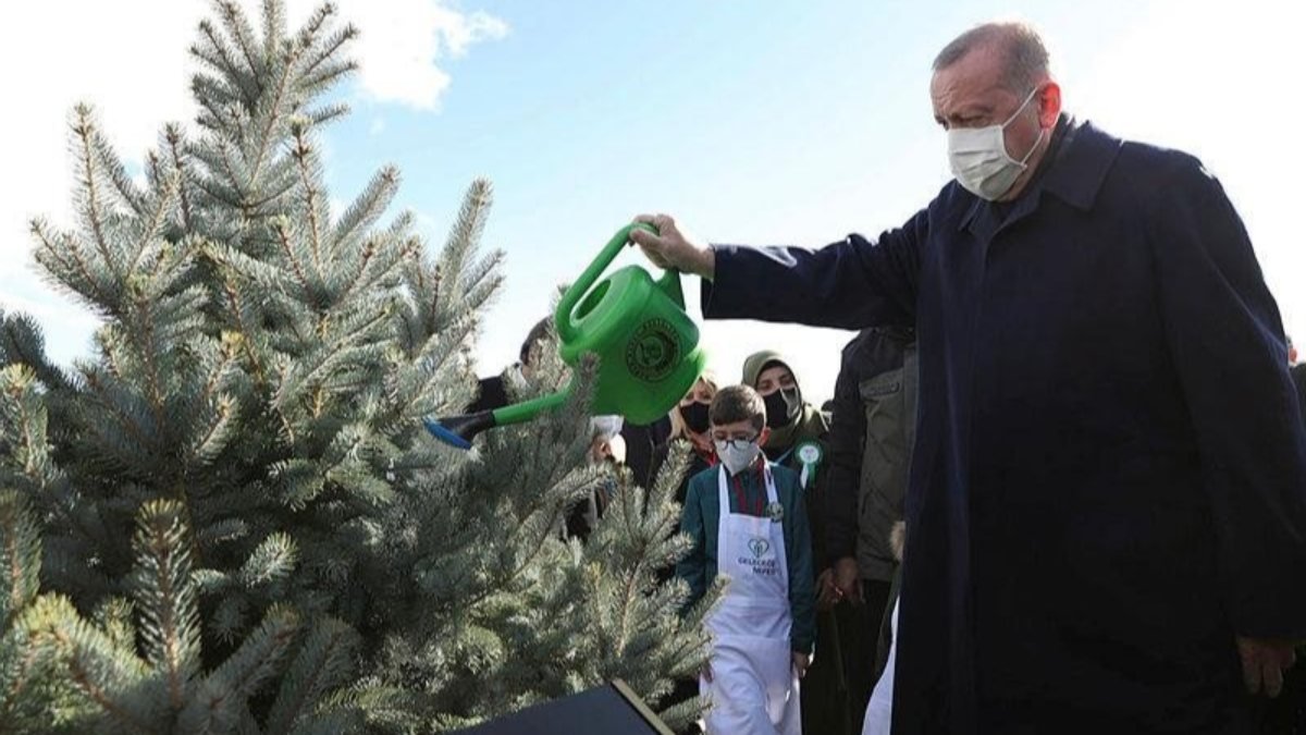 Cumhurbaşkanı Erdoğan Dünya Çevre Günü için Ağaç şiirini seslendirdi