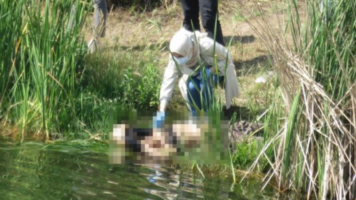 Maltepe'de kayıp kadın boğazı kesilmiş halde bulundu