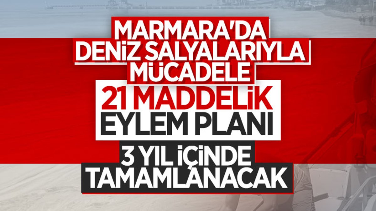 Marmara'da deniz salyalarıyla mücadelede 21 maddelik eylem planı