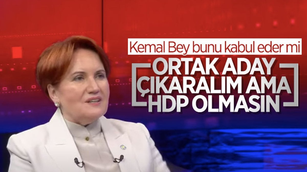 Meral Akşener: Ortak aday çıkaralım ama HDP olmasın