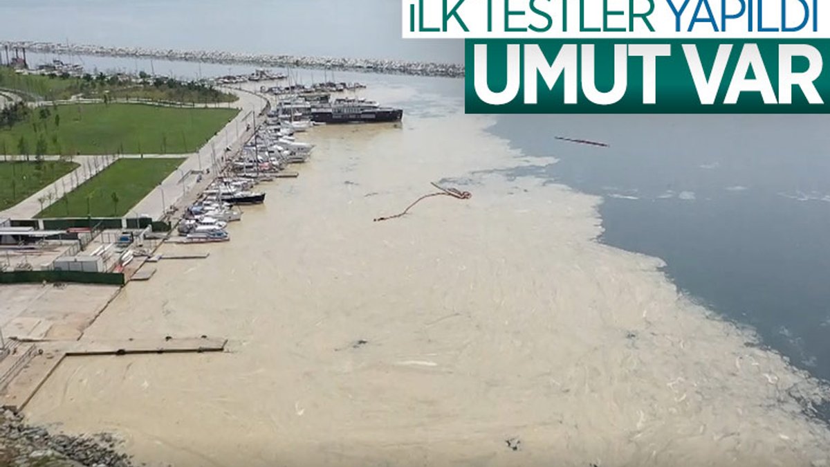 Marmara Denizi'ndeki deniz salyasına, reaktif oksijen yöntemiyle çözüm
