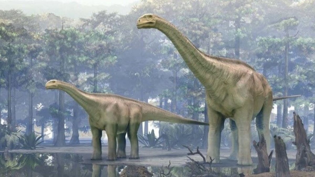 Avustralya'nın en büyük dinozoru keşfedildi