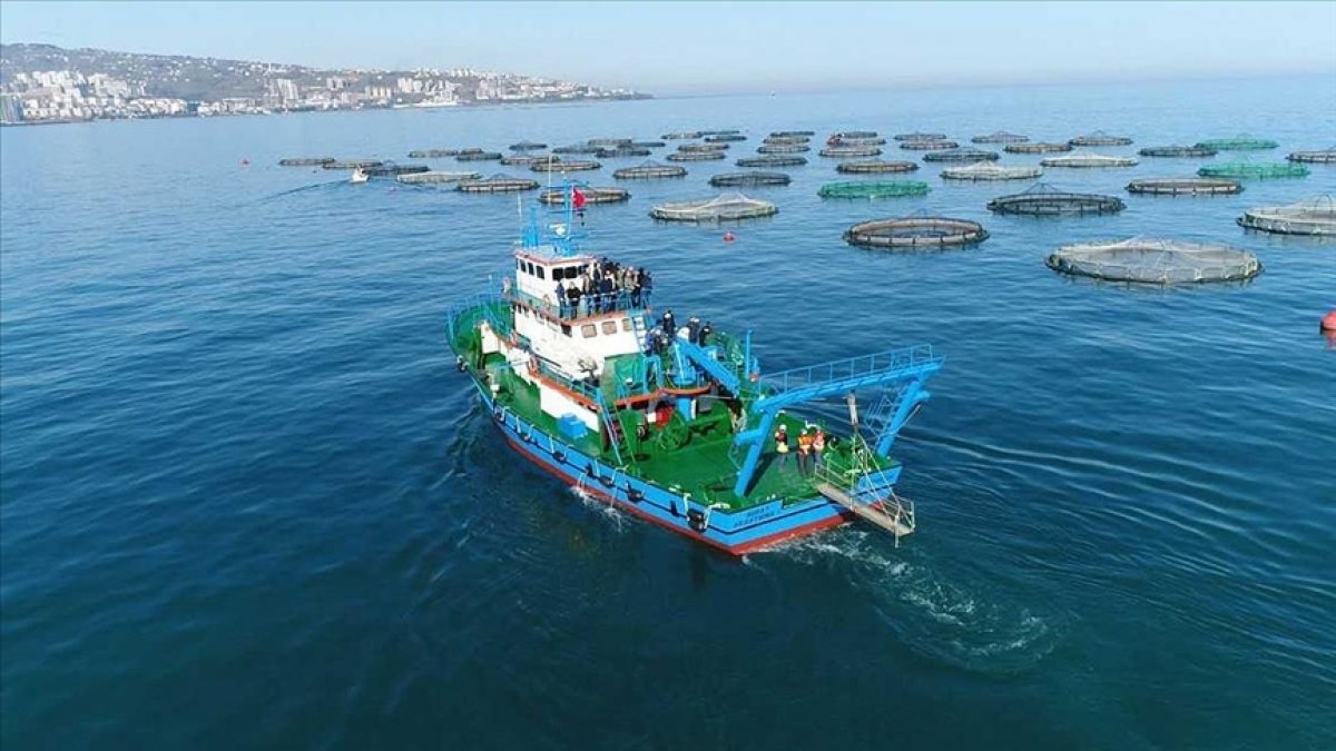Karadeniz somonu 39 ülkeye ihraç edildi