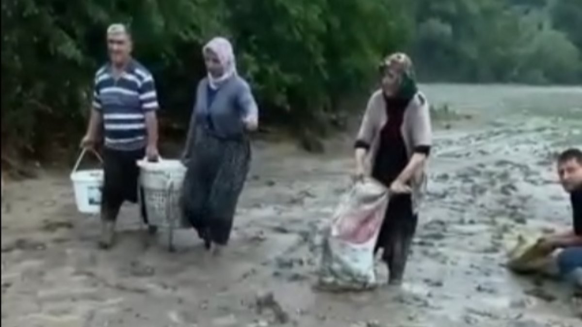 Adana'da selin tarlaya getirdiği balıkları mahalleli topladı