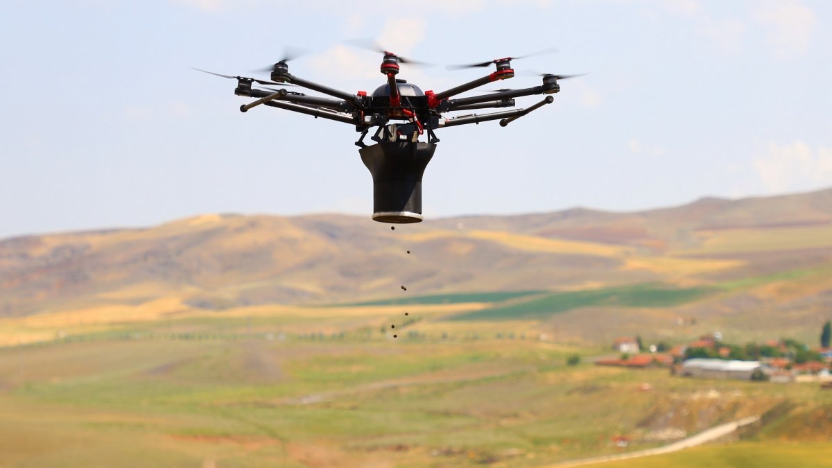 Drone ulaşması zor alanlara ağaç tohumu atacak