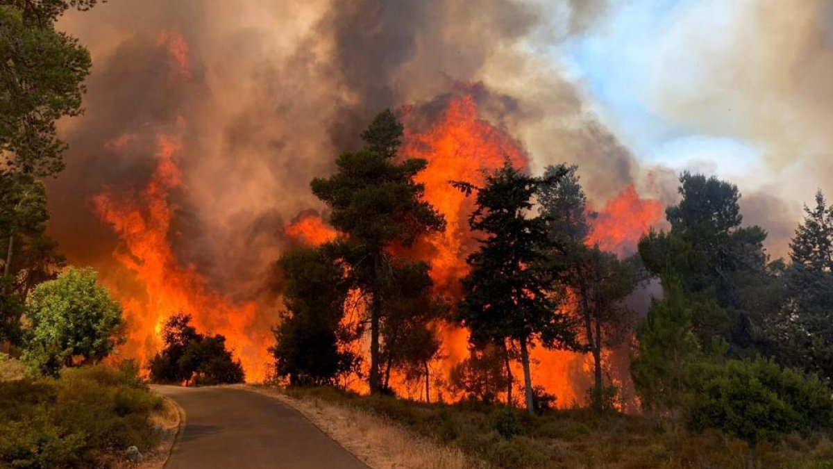 Kudüs’te yangın: 2 bin 650 dönüm arazi kül oldu
