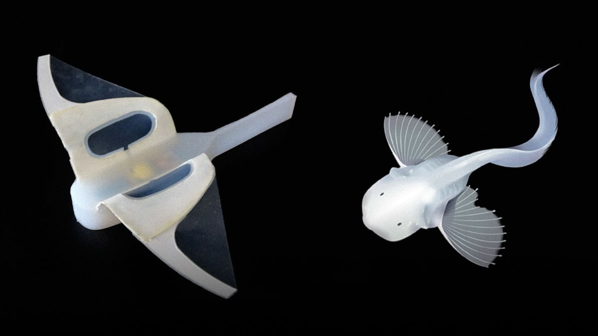 Denizleri gözlemleyebilmek için yumuşak robot balık geliştirildi