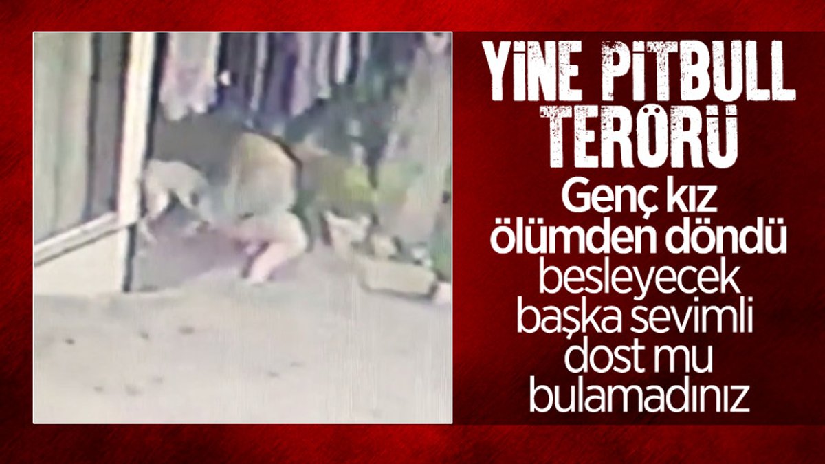 Başakşehir’de 16 yaşındaki kıza pitbull saldırısı kamerada