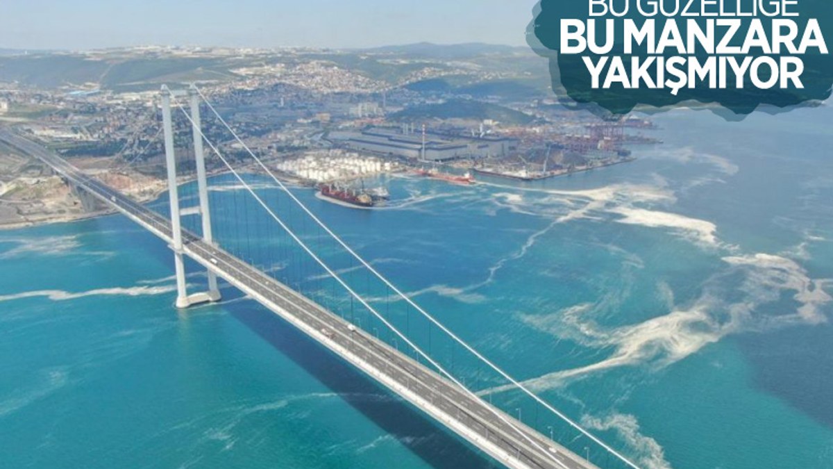 Osmangazi Köprüsü’nün etrafını deniz salyası sardı