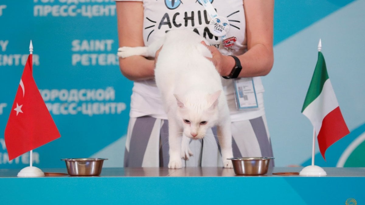 Rusların kahin kedisinin Euro 2020 tahminleri