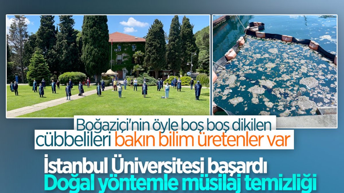 İstanbul Üniversitesi'nden müsilaj çözümü: Deniz bakteri izolatları