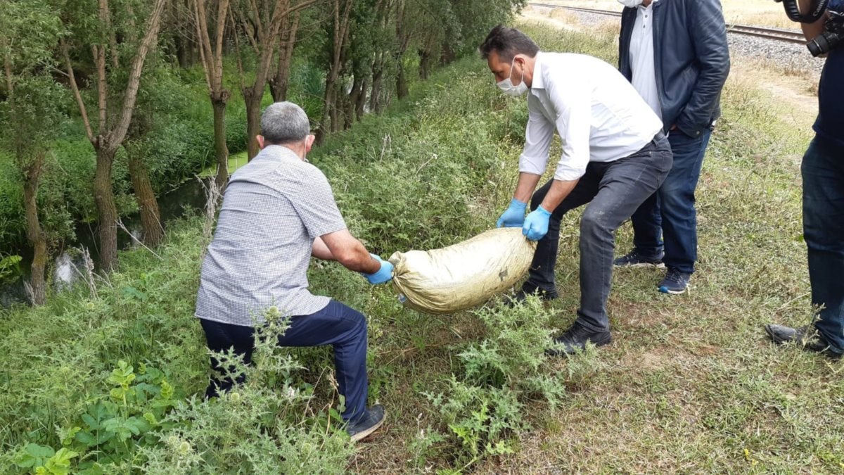 Afyonkarahisar’da salyangoz dolu çuvallar ele geçirildi