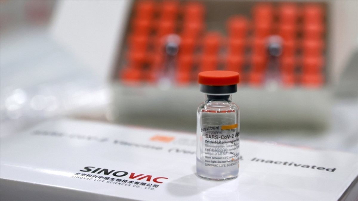 Sinovac aşı randevusu neden alınamıyor? Sinovac aşısı ne zaman gelecek?