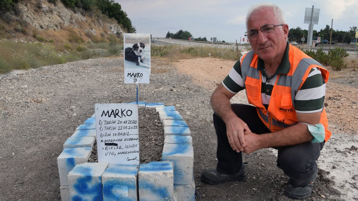 Antalya'da ölen köpeğinin mezarına 'maganda kurbanı' yazdı