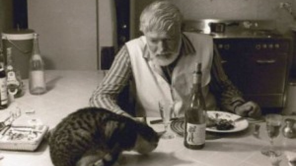 Ernest Hemingway'in kaleminden kedisi Uncle Willie’nin son saatleri