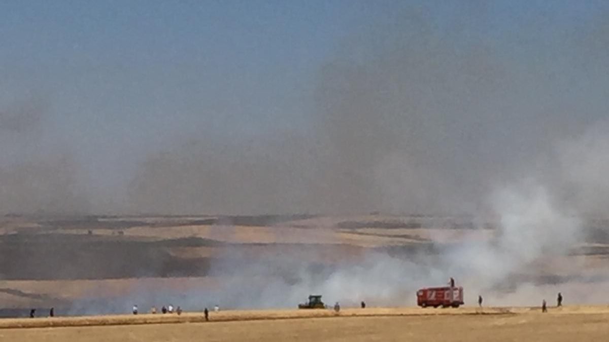 Diyarbakır’da 200 dönümlük buğday tarlası kül oldu