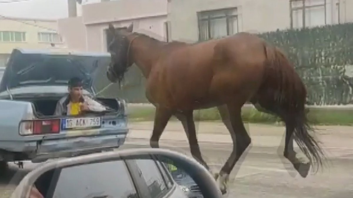Bursa'da bir aracın bagajında oturan çocuk, seyir halindeyken bir atı peşinden sürükledi