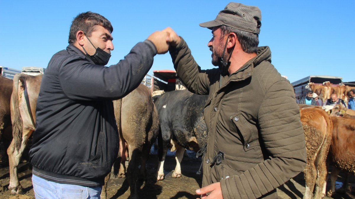 Sivas'ın Şarkışla hayvan pazarında Kurban Bayramı yoğunluğu