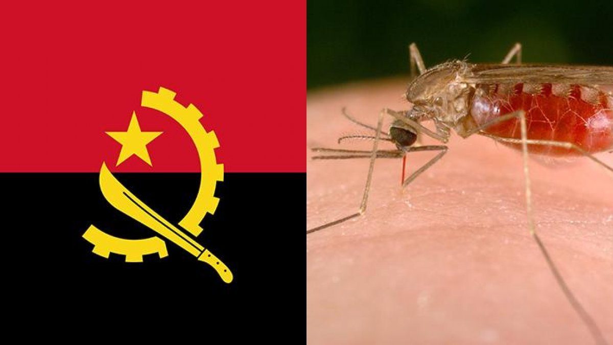 Angola'da 5 bin 500'den fazla kişi sıtmadan öldü