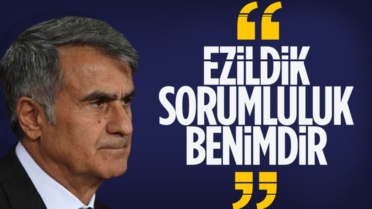 Şenol Güneş: Türk milletinin beklentisine cevap veremedik