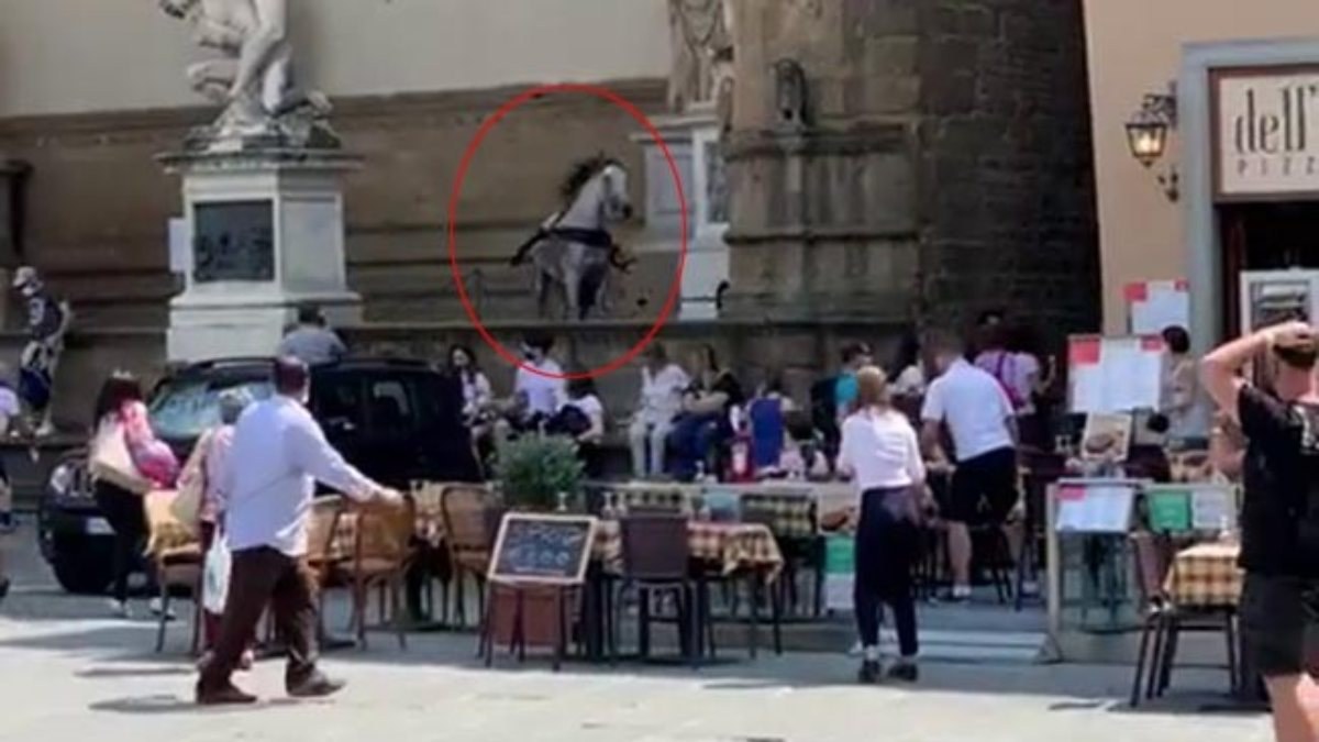Kızgın at, tarihi Signoria Meydanı'nı birbirine kattı