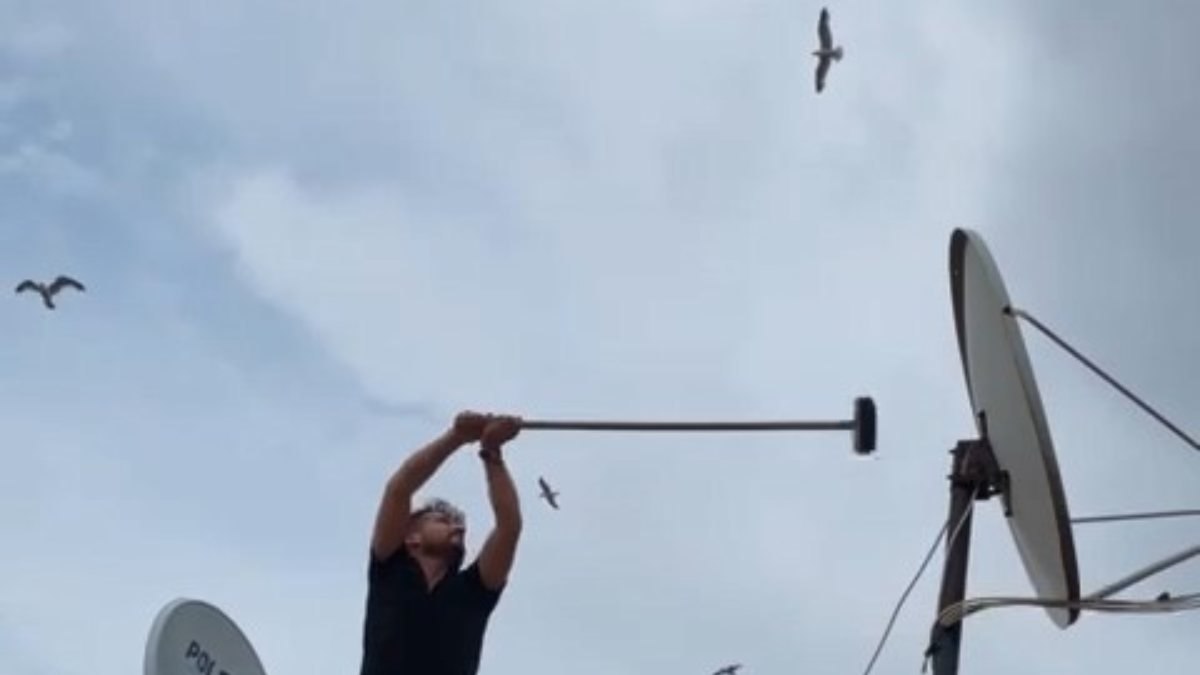 Bursa'da televizyon tamircileri, martıların saldırısına uğradı