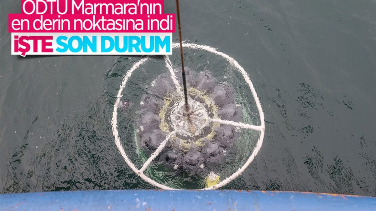ODTÜ, Marmara Denizi'nde müsilajı inceliyor