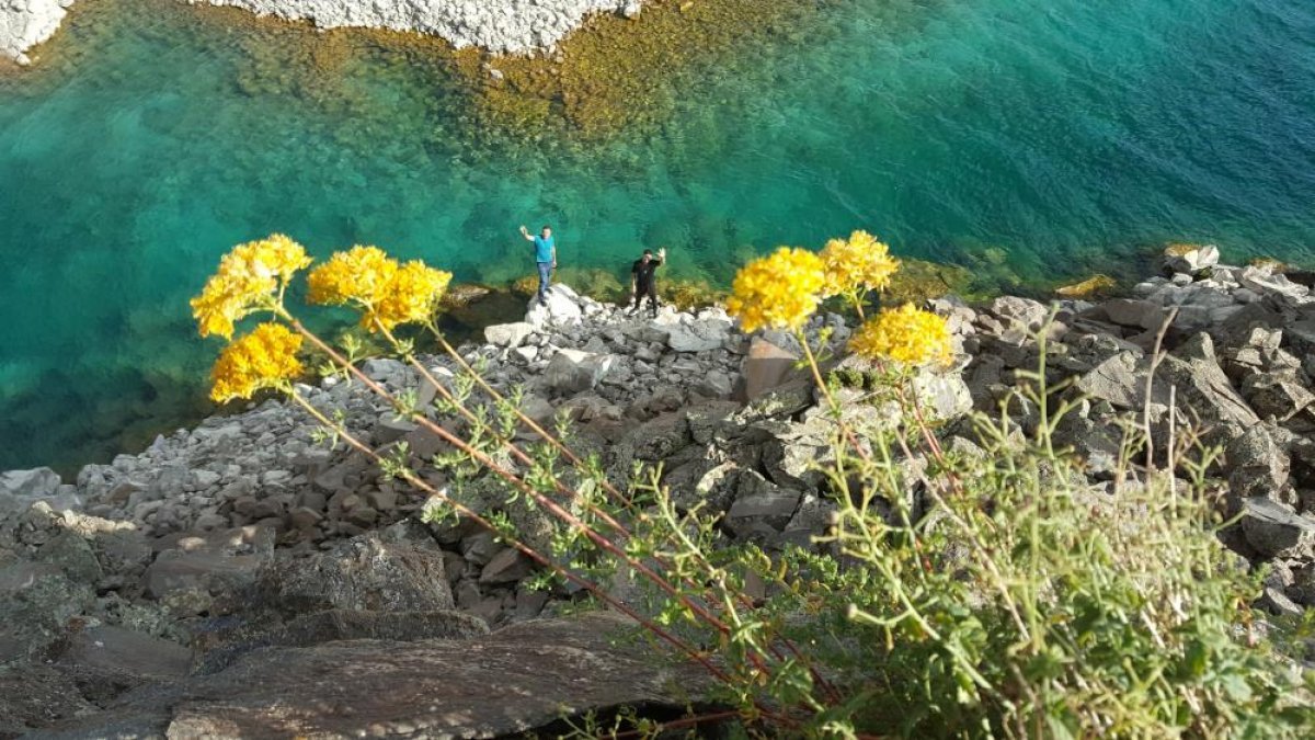 Nemrut Krater Gölü çevresinde açan çiçeklerle renklendi