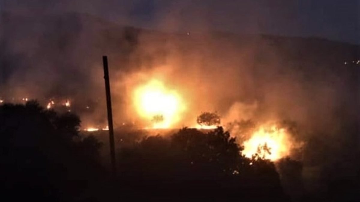 İzmir'de 40 dekarlık alan yandı
