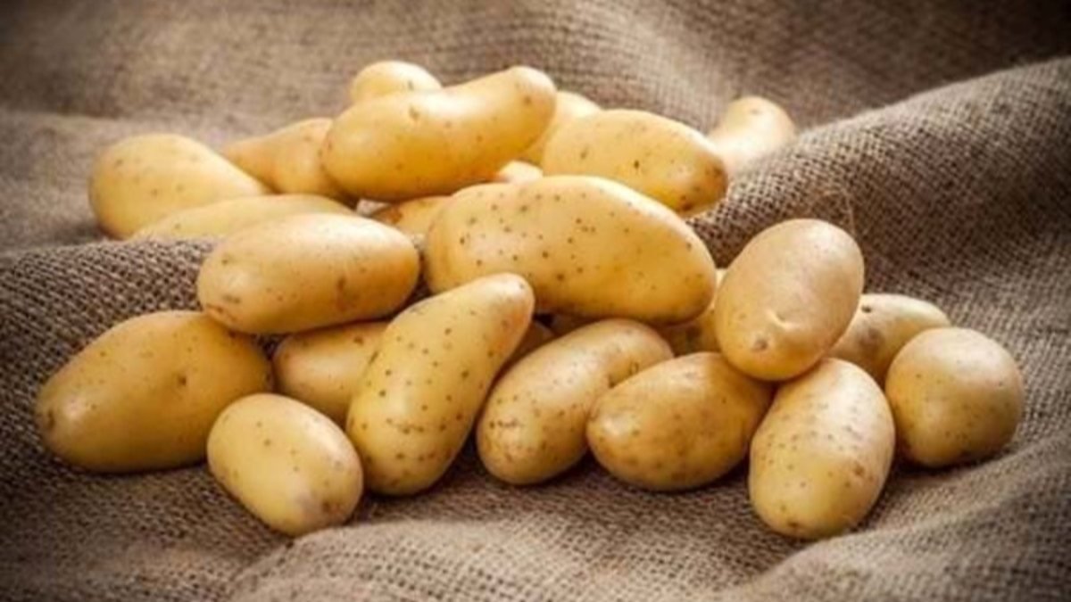 Patatesin sağlığa 7 faydası