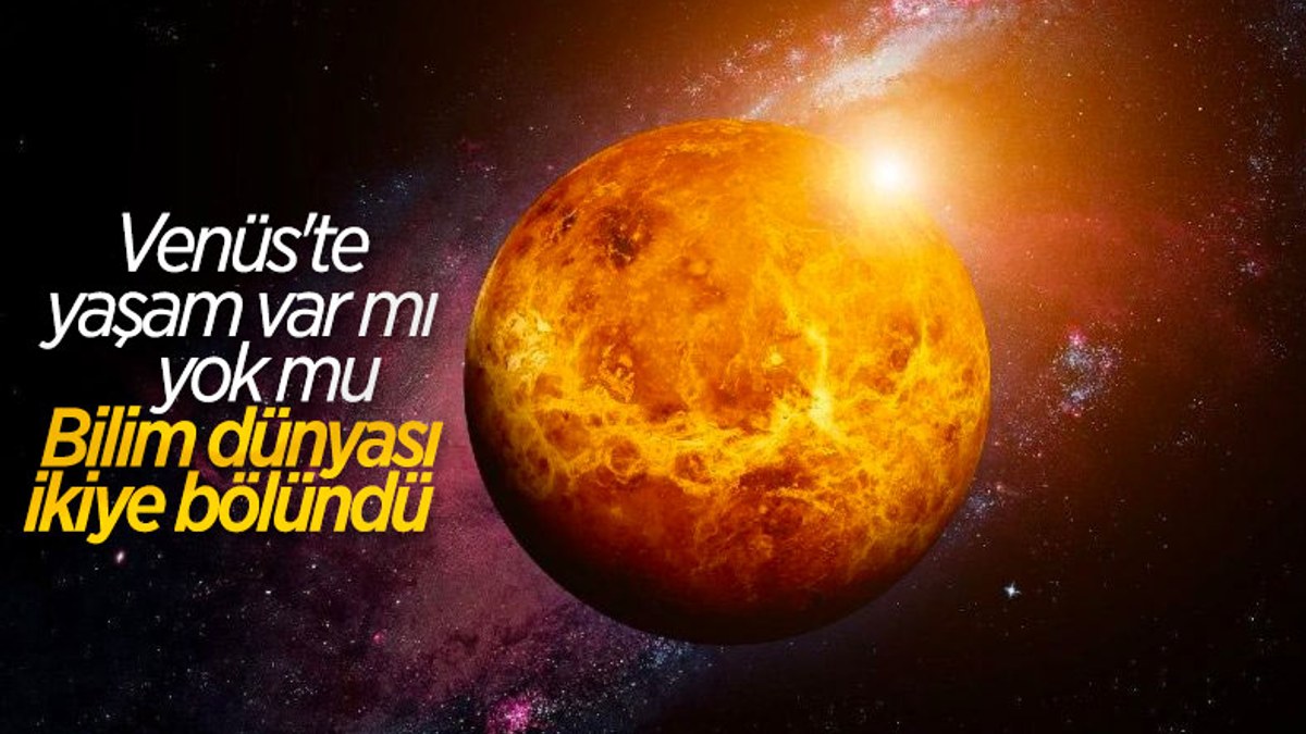 Venüs'teki yaşam belirtileri bilim dünyasını ikiye böldü