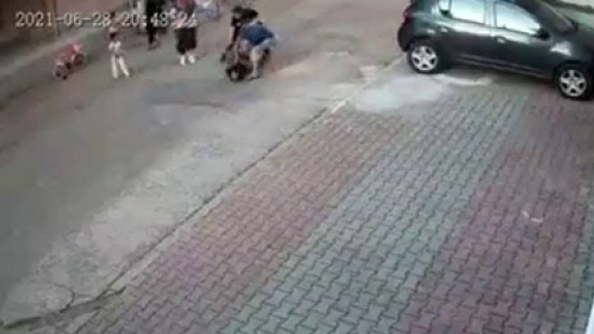 Kartal'da çocuğa saldıran pitbullun sahipleri serbest bırakıldı