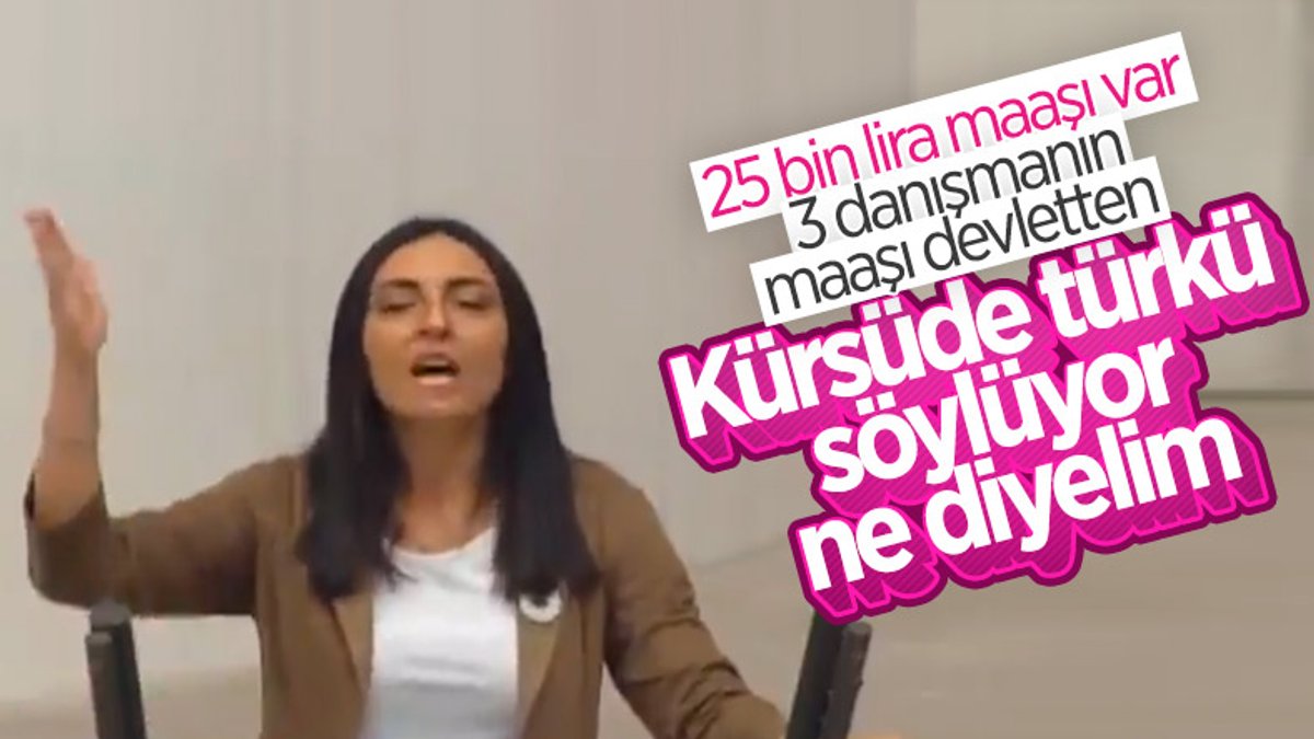 CHP'li Nurhayat Altaca Kayışoğlu, Meclis kürsüsünde türkü söyledi
