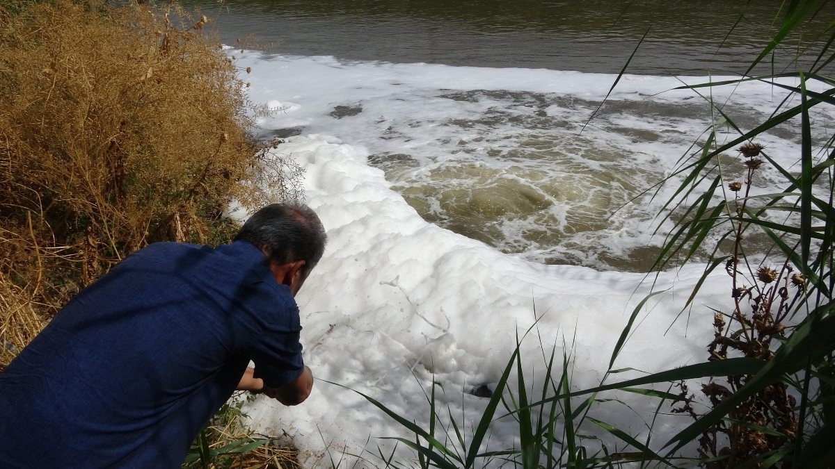 Büyük Menderes Nehri için çevrecilerden 'tehlike kapıda' uyarısı