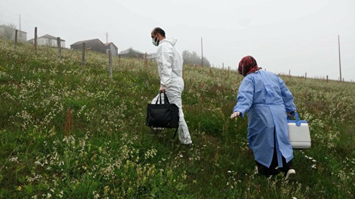 Karadeniz'de aşı mesaisi: Sağlık çalışanları 1800 metreye çıktı